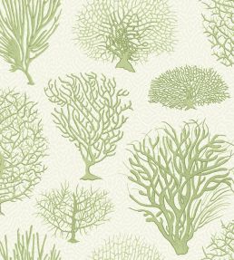 Seafern Wallpaper by Cole & Son 2008