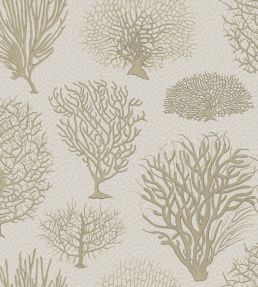 Seafern Wallpaper by Cole & Son 2010