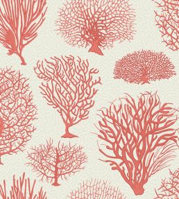 Seafern Wallpaper by Cole & Son 2011