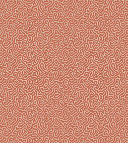 Vermicelli Wallpaper by Cole & Son 4018