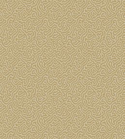Vermicelli Wallpaper by Cole & Son 4021