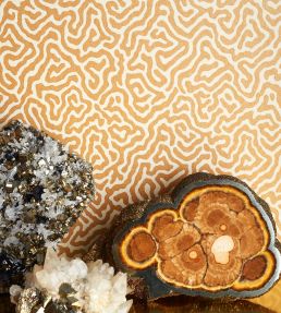Vermicelli Wallpaper by Cole & Son 4021