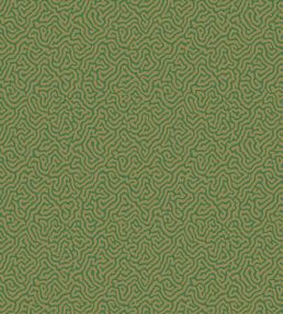 Vermicelli Wallpaper by Cole & Son 4022