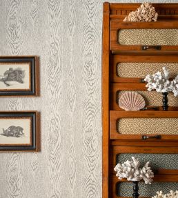 Wood Grain Wallpaper by Cole & Son 10046