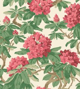 Bourlie Wallpaper by Cole & Son 4019