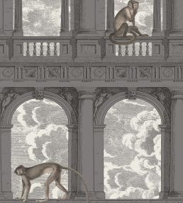 Procuratie Con Vista Wallpaper by Cole & Son Soot & Snow