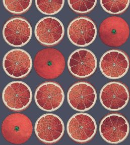 Arance Wallpaper by Cole & Son Blood Orange and Ink