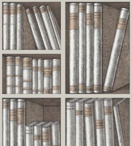 Ex Libris Wallpaper by Cole & Son Stone and Linen