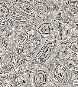 Malachite Wallpaper by Cole & Son White and Black