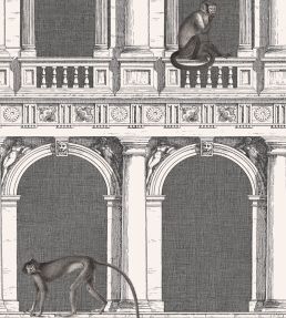 Procuratie E Scimmie Wallpaper by Cole & Son Black and White