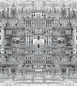 Riflesso Wallpaper by Cole & Son Black and White
