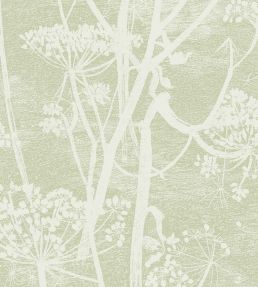 Cow Parsley Wallpaper by Cole & Son Green