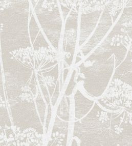 Cow Parsley Fabric by Cole & Son White & Taupe