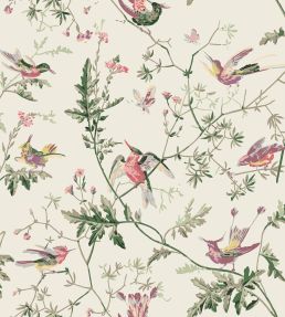 Hummingbirds Fabric by Cole & Son Classic Multi & Old Olive