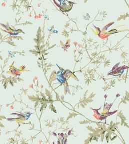 Hummingbirds Fabric by Cole & Son Classic Multi & Duck Egg