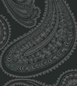 Rajapur Velvet Fabric by Cole & Son Charcoal