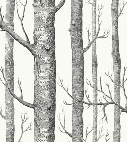 Woods Fabric by Cole & Son Soot/Snow