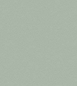 Coral Wallpaper by Cole & Son 5066