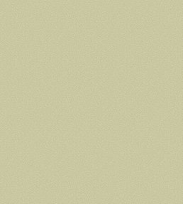 Coral Wallpaper by Cole & Son 5067