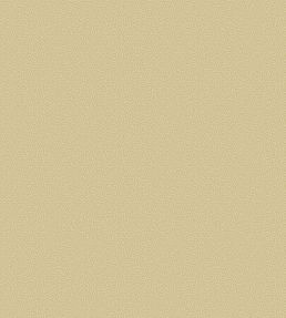 Coral Wallpaper by Cole & Son 5069