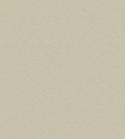 Coral Wallpaper by Cole & Son 5072