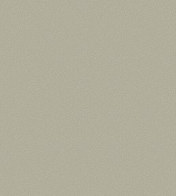 Coral Wallpaper by Cole & Son 5073
