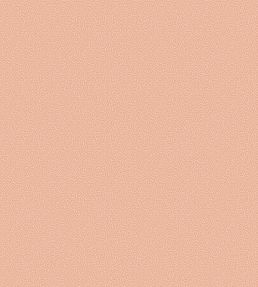 Coral Wallpaper by Cole & Son 5075