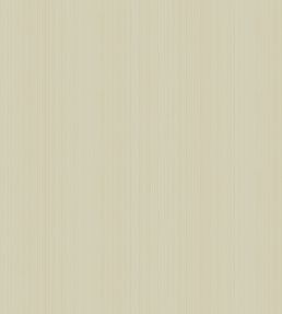 Jaspe Wallpaper by Cole & Son 3042