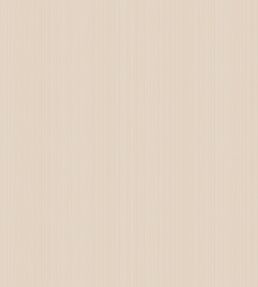 Jaspe Wallpaper by Cole & Son 3049