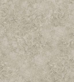 Patina Haze Wallpaper by Cole & Son Warm Gilver