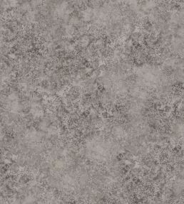 Patina Haze Wallpaper by Cole & Son Taupe