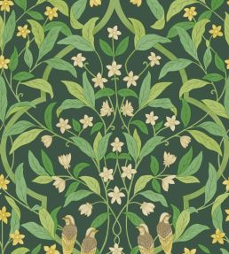 Jasmine And Serin Symphony Wallpaper by Cole & Son 10029