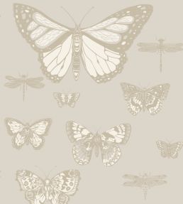 Butterflies & Dragonflies Wallpaper by Cole & Son Grey