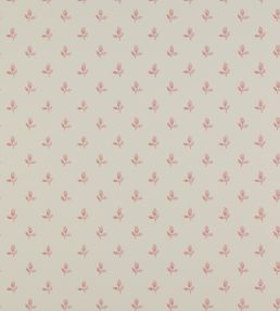 Sudbury Park Wallpaper by Colefax and Fowler Pink
