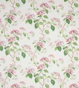 Summerby Cotton Fabric by Colefax and Fowler Pink/Green