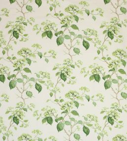 Summerby Cotton Fabric by Colefax and Fowler Leaf Green