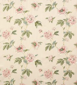 Selena Fabric by Colefax And Fowler Pink/Green