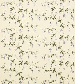 Viviers Fabric by Colefax And Fowler Blue/Green