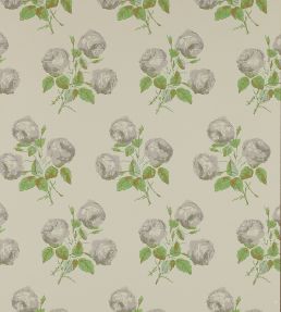 Bowood Wallpaper by Colefax and Fowler Grey/Green