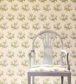 Bowood Wallpaper by Colefax and Fowler Grey/Green