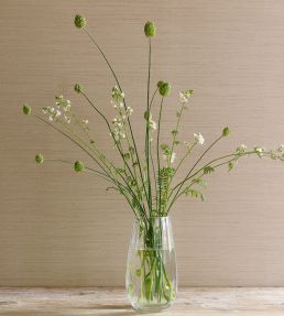 Sandrine Wallpaper by Colefax and Fowler Ivory