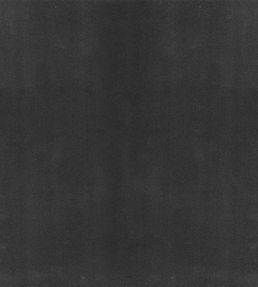 Columbia Fabric by Wemyss Mole