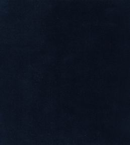 Columbia Fabric by Wemyss Navy