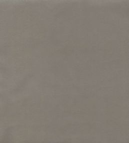 Columbia Fabric by Wemyss Nickel