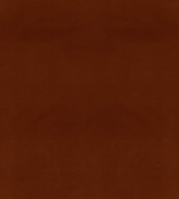 Columbia Fabric by Wemyss Terracotta