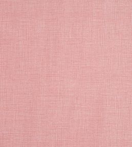 Concept Fabric by Prestigious Textiles Blush
