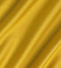 Connaught Silk Fabric by James Hare Corona