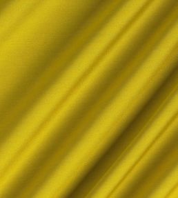 Connaught Silk Fabric by James Hare Glory