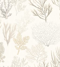 Corail Wallpaper by Casadeco Beige