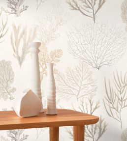 Corail Wallpaper by Casadeco Beige